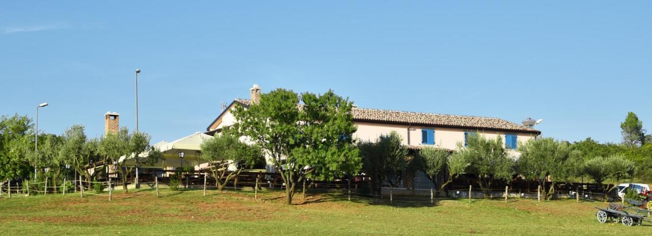 Bed&Breakfast Monte Rosso Poreč Kültér fotó
